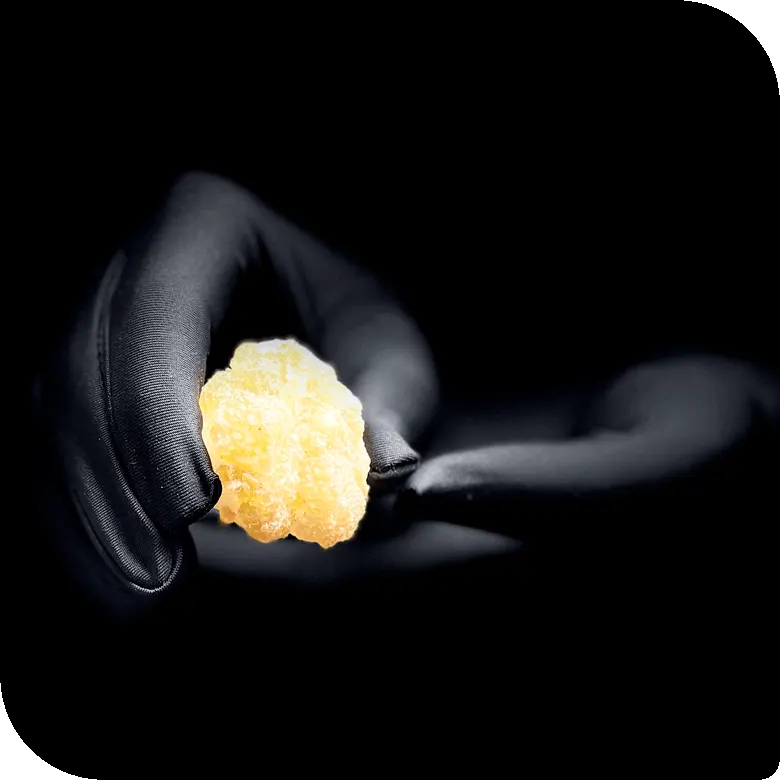 Kaktus Natural Raw Crystal Photo