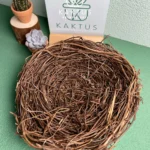 crystal bracelet storage inspired by bird nest style