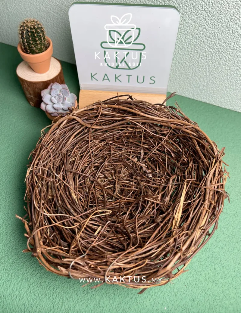 crystal bracelet storage inspired by bird nest style